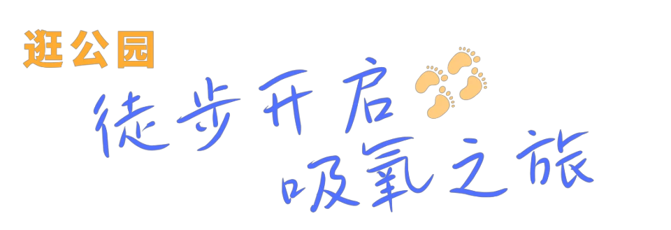 哪里可以找到关于篮球协调训练的教程？_1